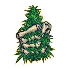 image 18-PhotoRoom (1) 9